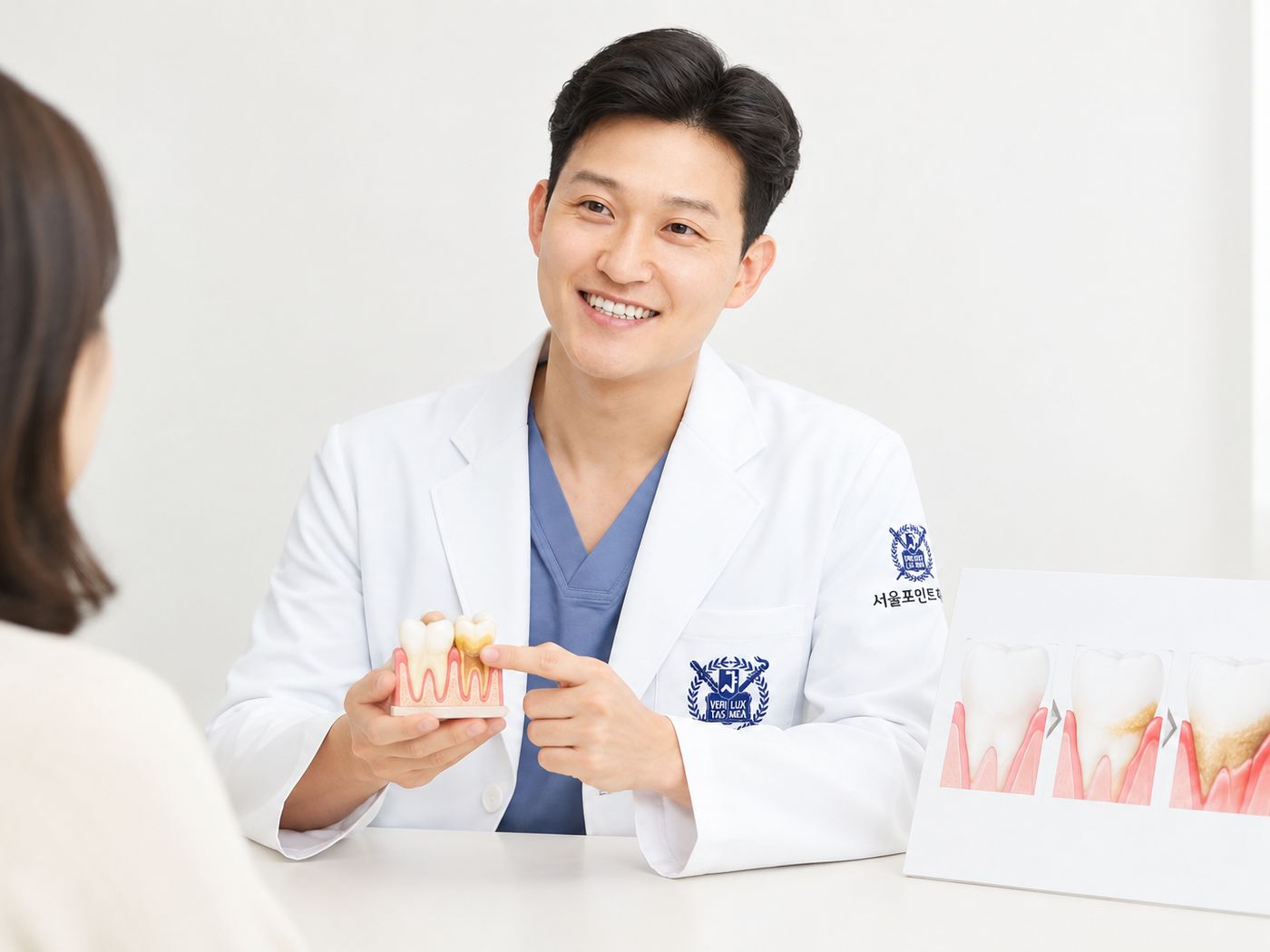 잇몸·치주 치료 모형